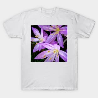 Saffron Crocus Flowers Photography T-Shirt